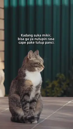 quotes