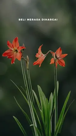 Tresna Lintas Planet