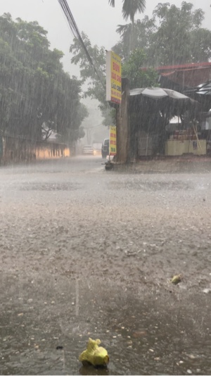 Mưa - dkhusc