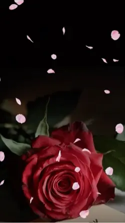 ♥️I LOVE YOU ♥️