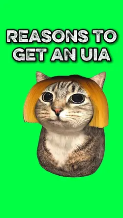 OIIA CAT GETS A BOB