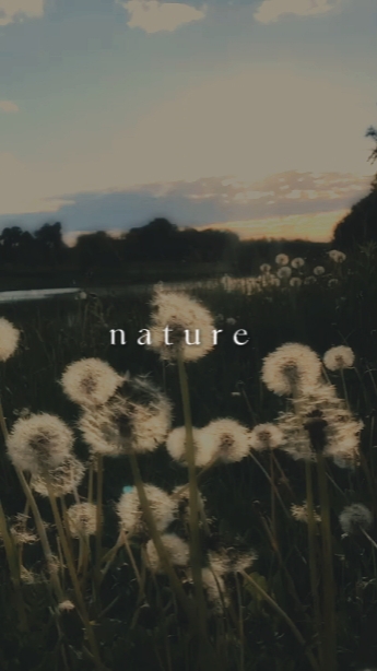 Natureza 
