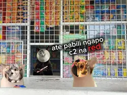 C2 Meme Trend