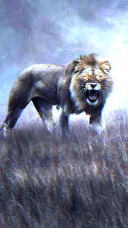 انا اشهد الأسد انتم 