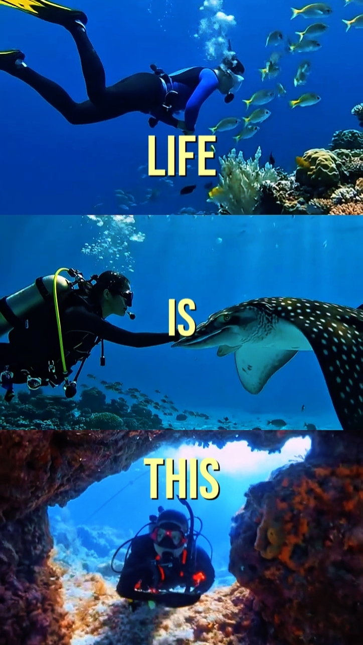 life is this