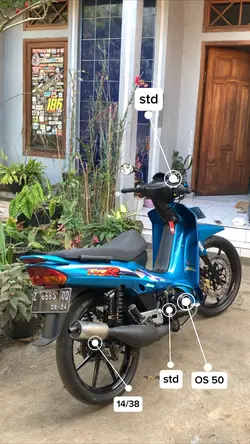 Trend new rules 