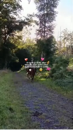 Nicht ohne Camiro❤️🩹
