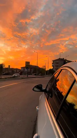 poizi / yeni şablon