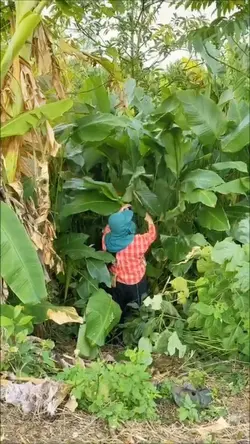 Chuẩn bị đón tết