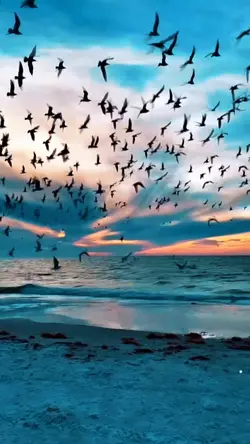 Tiktok / erhanlyrics