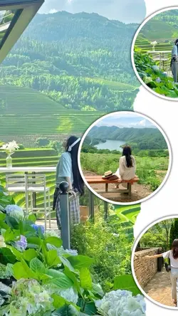 11Pic Clip Aesthetic