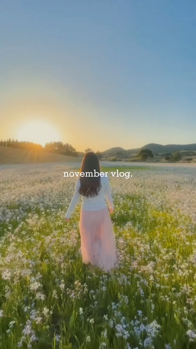 november vlog