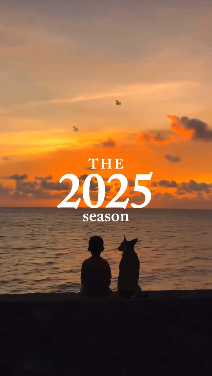 2025 recap DtMF