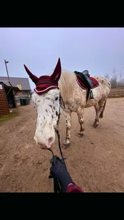 Dziś mi fatalnie po|