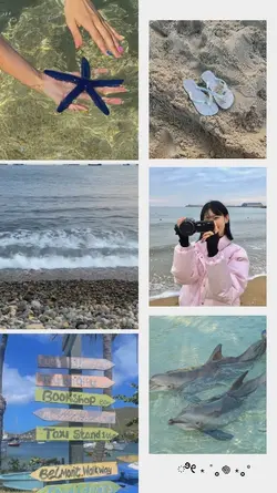 photo collage 