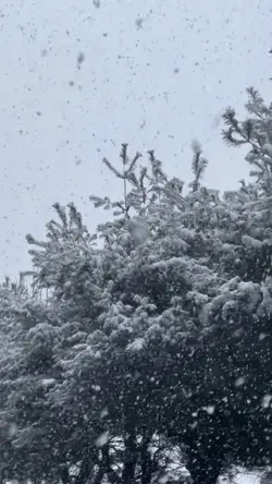 Ağır çekim şablon❄️