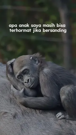apa anak saya masih