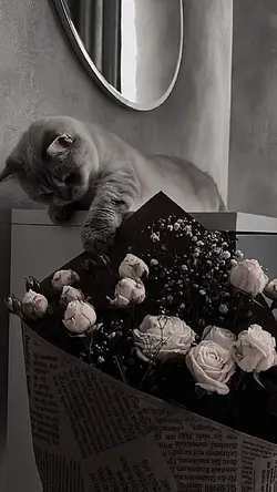 phir bhi tumko chahu