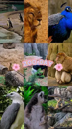Zoo Day