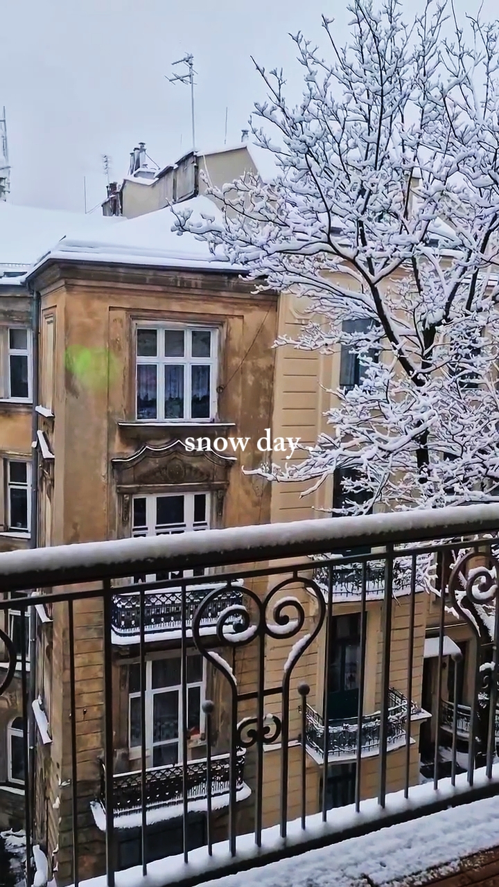 KAR GÜNÜ