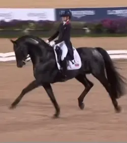 Dressage slowmo 