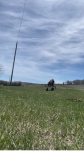 Happy Nation Trend!