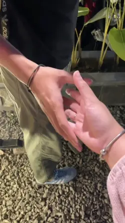 Sore istri dari masa