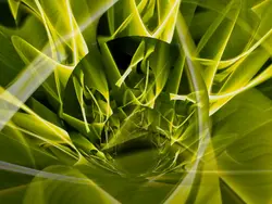 宵夢photographic251208