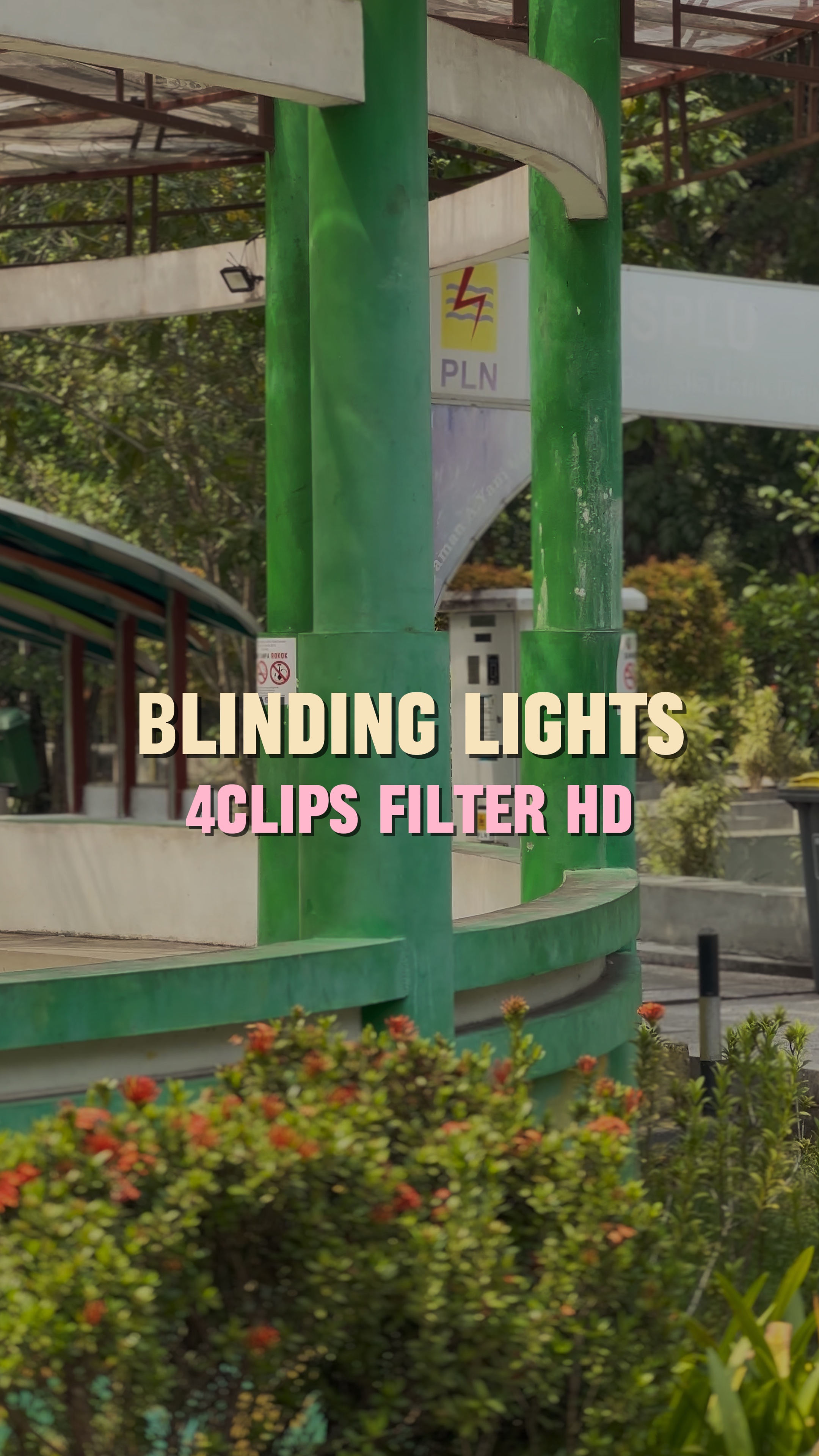Blinding Light 4C