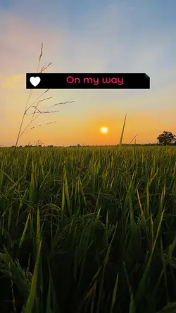 Music chill story