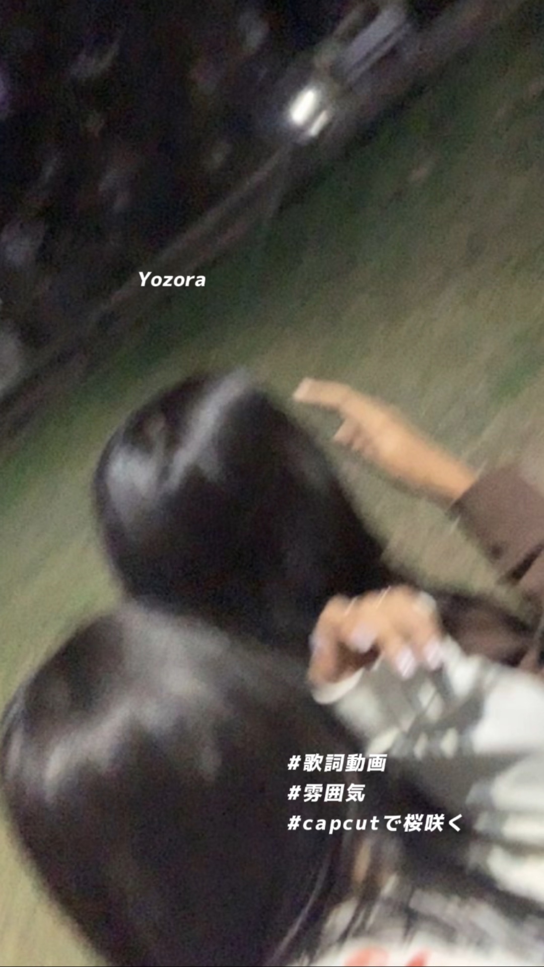 Yozora/Sugar Goose