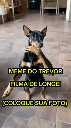 MEME DO TREVOR 