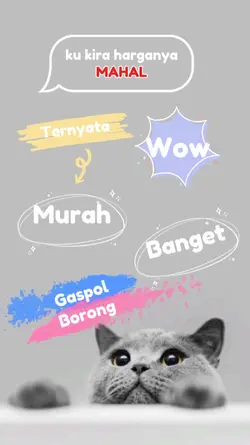 Template affiliate 