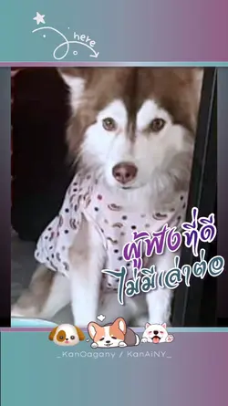 ผู้ฟังที่ดีไม่บอกต่อ