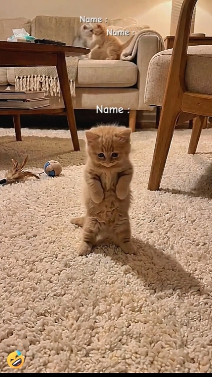 Write Name