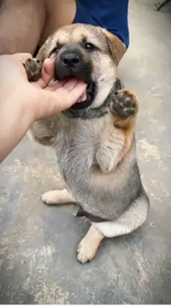 ❤️🙄😍