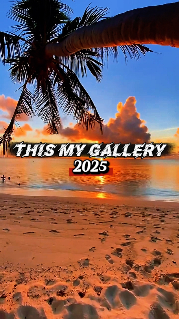 Ma galerie 2025