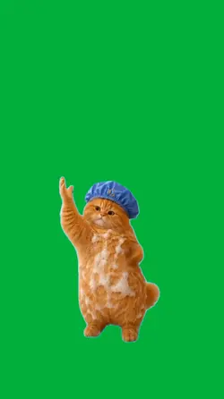 Happy cat