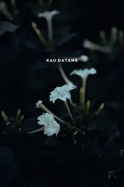 Pergi tanpa suara