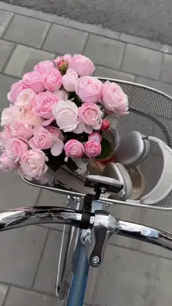 Color de Rosa