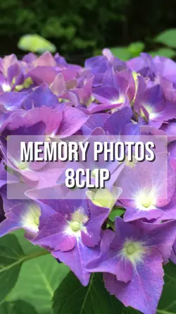 8clip Memory Photos
