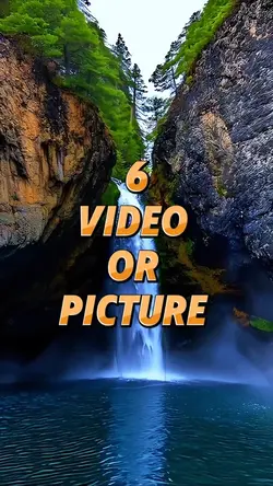 6 video or picture 
