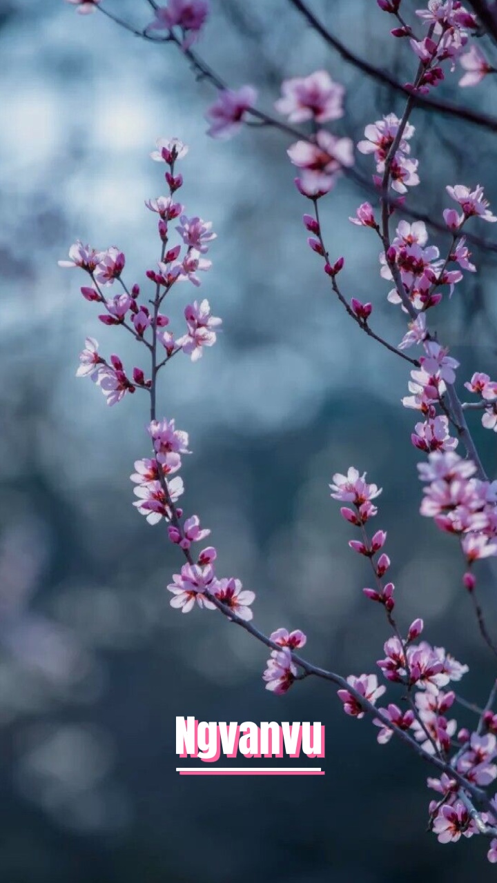 Nếu cảm thấy mệt qua