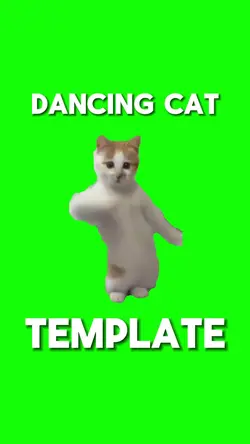 Dancing Cat
