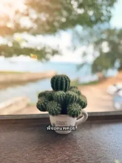 พิษรักพิษณุโลก