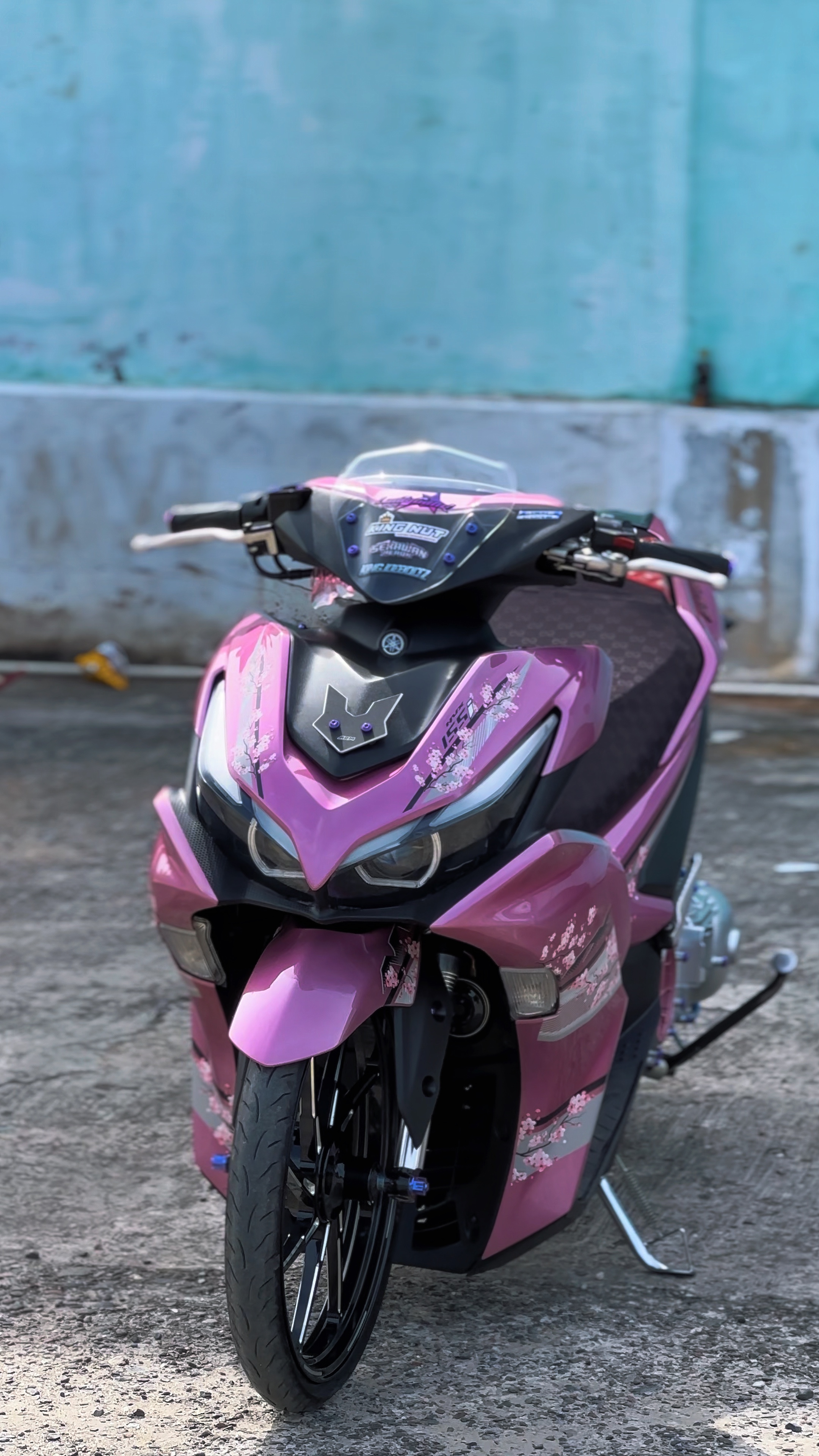 Cover Picture