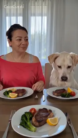 Me vs dog