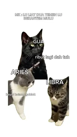 liat temen berantem