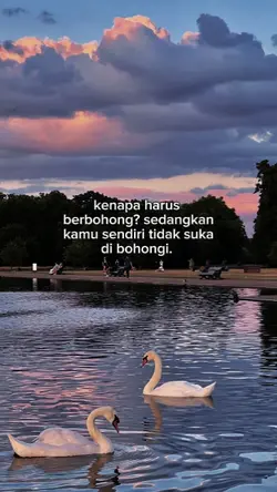 knp hrus berbohong