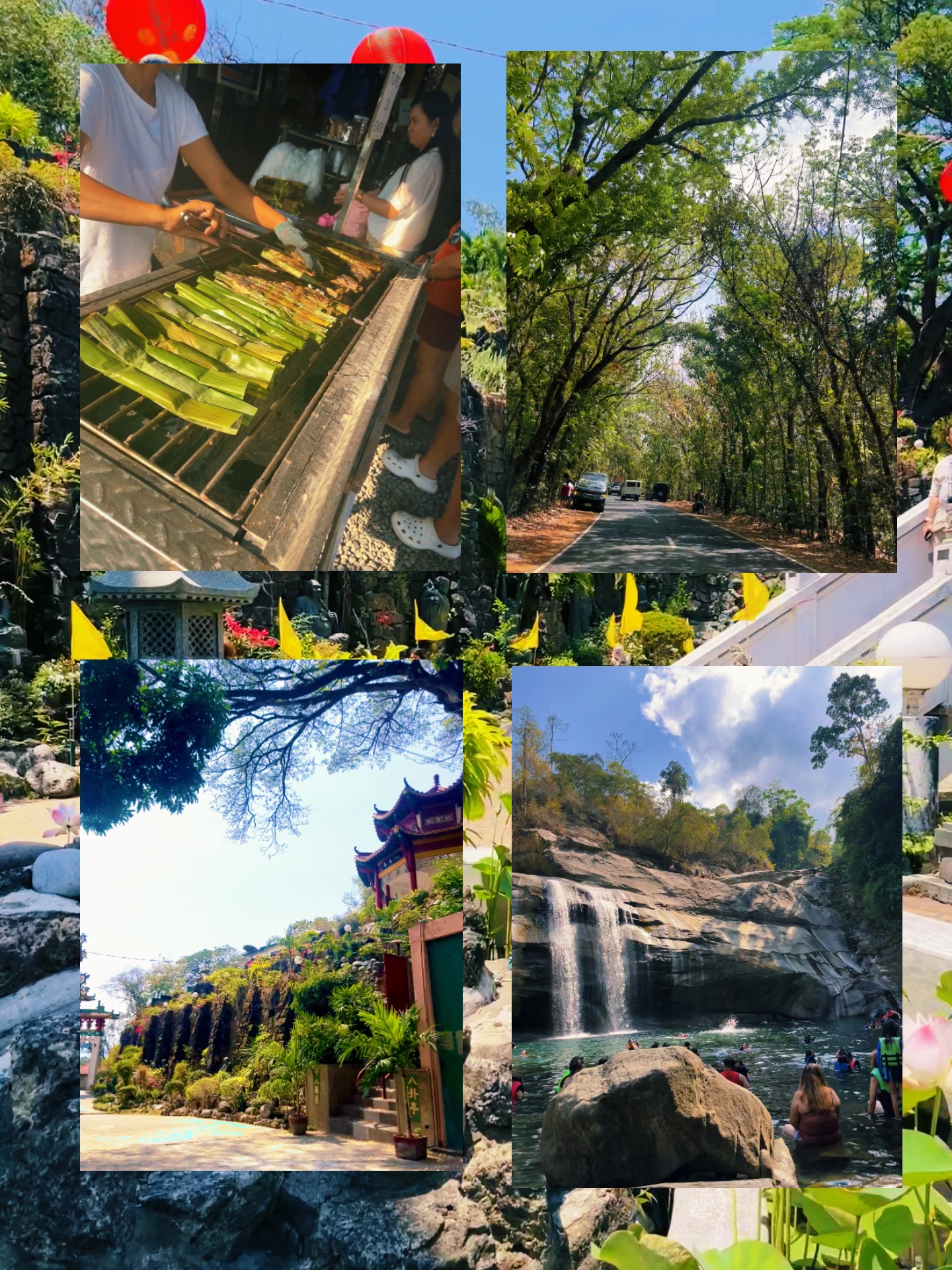 Live Photo Collag